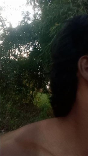 4 log Kay💔🥺 bolenge#youtubeshorts #shorts #tigerfliper