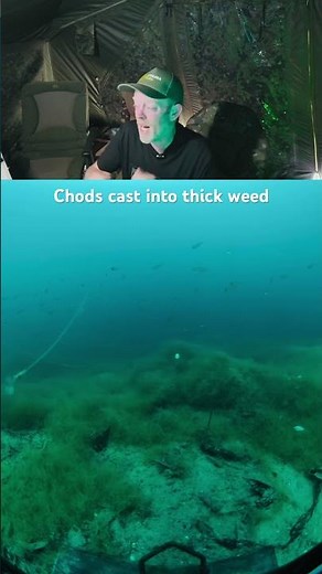 In this video we cast a short chod rig on weed #fishing #underwater #angling #carpfishing #korda