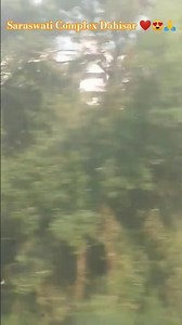 Saraswati Complex Dahisar Mumbai | Residential & Commercial Area Tour | Maharashtra 🙏😍❤ #shorts #yt