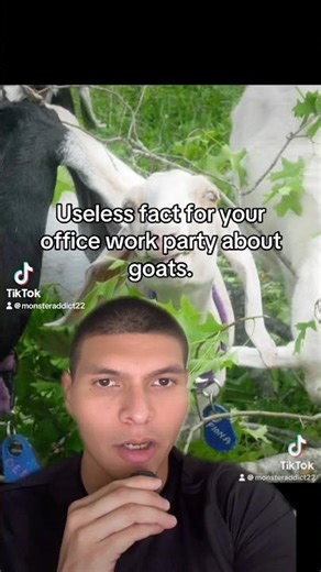 Do goats eat everything in sight?