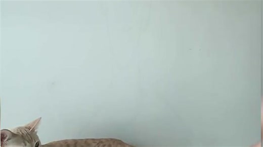 Apple Mac mini M1 vs M4性能大