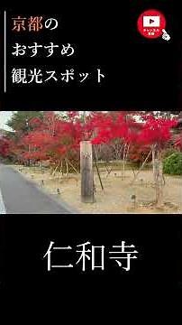 京都の世界遺産・仁和寺【4K】/ Ninnaji Temple, Kyoto