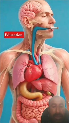 smoking 🚬 when you smoking inside your body #anatomy #3danimation #humanbody #education
