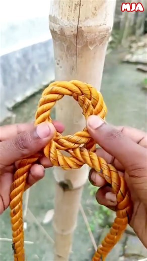 Best bowline knot || #knots #ropetrick #shorts