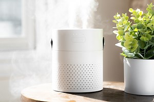 It’s summer and a humidifier is now more important than ever. These 10 are on sale now