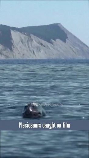 Exploring Plesiosaurs in the Black Sea | Rare Sightings 2023
