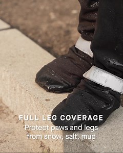 34K views · 977 reactions | Never lose your dog’s boots in deep snow or mud! Connected boots with full leg and paw protection  | Canada Pooch | Facebook