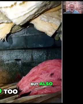 Crawl Space & Basement: Best Airflow for Your Home #shorts