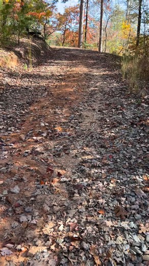 Do you ever just stop and go for a slow walk and thank God for the beauty that he created??? 🍁 I did that today! 🧡 | Michelle H Bentley