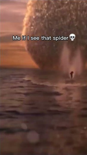 camel spider!?! #meme #memes #spider #desert