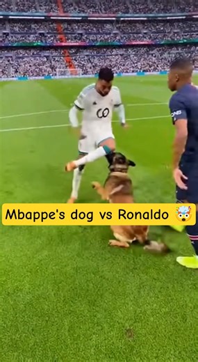 Mbappe dog attacks ronaldo 😱🥶