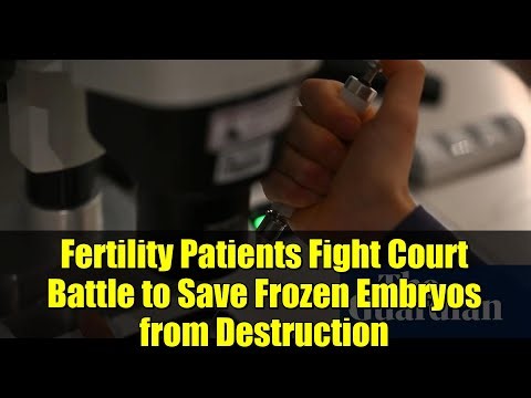 Fertility Patients Fight Court Battle to Save Frozen Embryos from Destruction