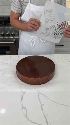 Chocolate Zebra Cake Made Elegant with Stencil Art
