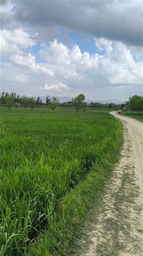 A Perfect Spring Day 🌿 | Clouds, Green Fields & Gentle Wind