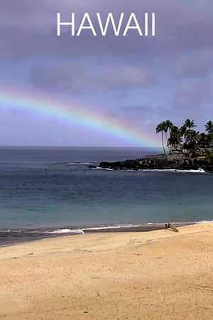 Hawaii Pipeline Cam | Hawaii | Live Cams | Explore.org