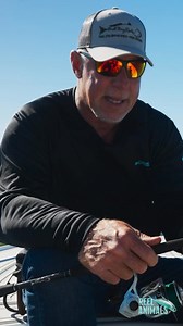 Feel The Bite, Feel The Difference, Bull Bay Rods! @bullbayrods @abyssbattery @pennfishing @contenderboatsofficial @mirrolure_official @engelcoolers @yamahaoutboards @power.pole @bartowford @aqua_traction @plantationoncrystalriver @deckgear @bobsmachineshop @tamahoneyco @gatorjimstackle @strikekinglures @signzoo @relentlessknivesusa @ringpower @viciousfishing @fishmonkeygloves @southseasresort @rockfordfosgate @cayoboatworks @isla_mapping | Reel Animals Fishing Show