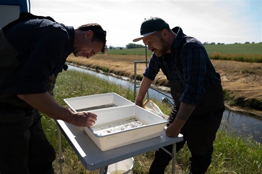 ZDFzeit: Artensterben in Deutschland - Die Fakten mit Kai Kupferschmidt (2022) | ČSFD.cz