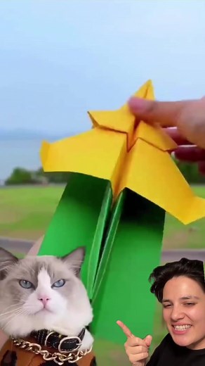 Uzun mesafe uçabilen kağıt uçak deniyorum! Sonucu merak edenler mutlaka izlesin 💥 #fypppp #fypviralシ #diy #sendedenes #origami #foryou #foryouu #fypシ #viralvideos #kesfett #kesfetteyiz #onecikarttikto #deneyyy