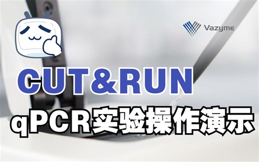 CUT&RUN qPCR实验操作演示（HD101）