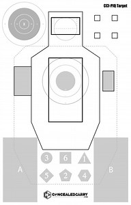 CCI Pistol Intelligence Target - 100 Pack » Concealed Carry Inc