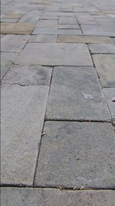 Ultimate Guide to Paver Cleaning and Sealing