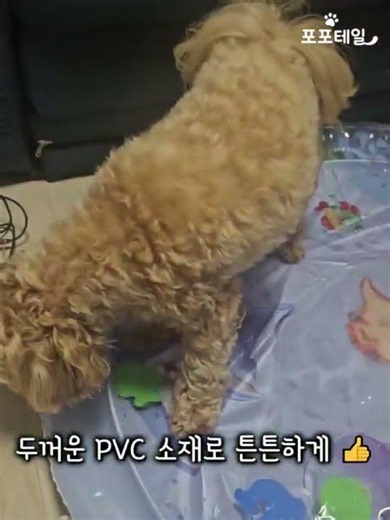 포포테일 물놀이 물침대 반려동물 장난감 PVC 두꺼운 원형 매트