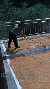 A Secluded Village Watched Over by Ancient Firs | Guizhou, China