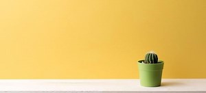 How to Install Level Shelving | DoItYourself.com