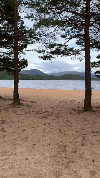 Cairngorms National Park Solo Camping Adventure at Loch Morlich