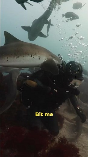 Unbelievable Shark Week Moments Exposed