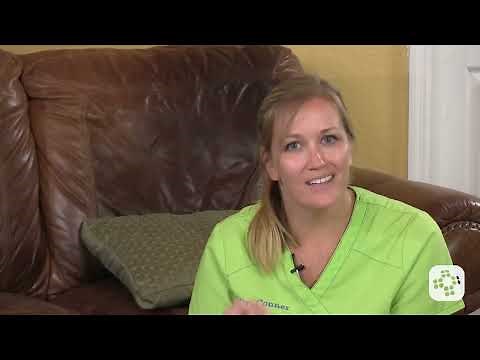 How to do CPR on a Dog