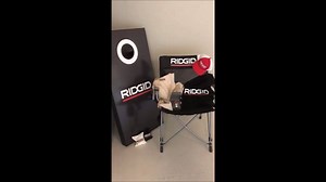 4.2K views · 53 reactions | We’re offering site-wide free shipping on...