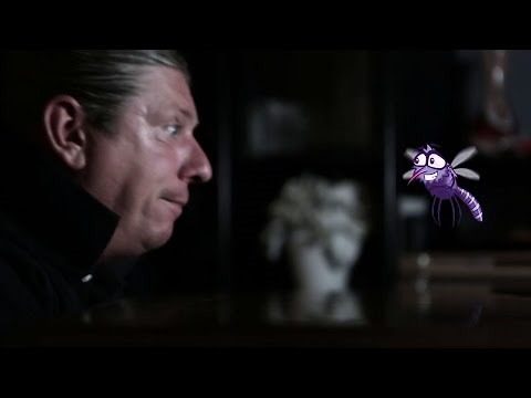 Omar Codazzi - La zanzara (video ufficiale)