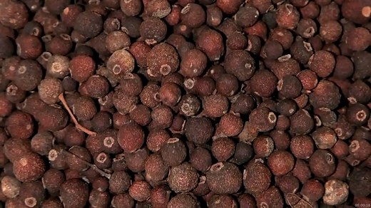 What Is Allspice? | Britannica