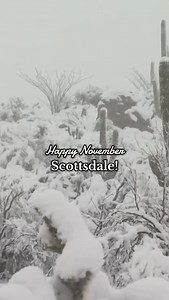 It’s officially November in Scottsdale, and the holidays are in full swing! 🎄✨ From tree lightings to art shows and festive markets, there’s no shortage of ways to celebrate the season. Whether you’re planning family outings or looking for something new to do with friends, now’s the time to start filling your calendar. ✅🗓️ And if you need a little extra holiday spirit, enjoy this rare throwback to the last time it snowed in the McDowell Sonoran Preserve. ❄️☃️ Start planning your holiday season