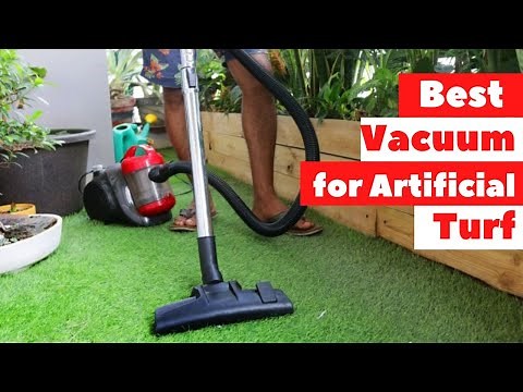 Best Vacuum for Artificial Turf in 2023 [Top 4 Models]