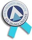 Six Sigma Video Tour (Demo)