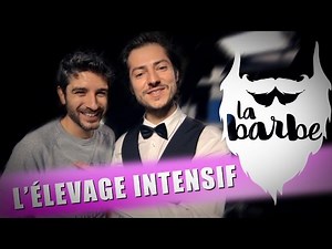 L'élevage intensif (La Barbe feat. Vérino)