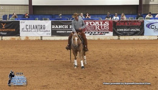 31K views · 696 reactions | Fortunefavorsthebold and Brian Bell hit top marks in the Novice Horse Open at the NRBC with a 147!! This 5 year old mare is by Guns R For Shootin and owned by Scott Wallace #kyletacksaddles #sernaboots #equifuse #glowingresults #txwhiskey #softride #cowboycoutureinc #saguaroshowpads #horslic #shopcorro #CorroTeamRider #onesourceforallthingshorse #bluebonnetfeeds #classicequine #equibrand #magnaproplus #cinch #sieringbits | Brian Bell Performance Horses | Facebook