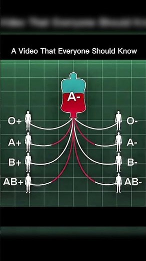 Blood Types Explained 🩸