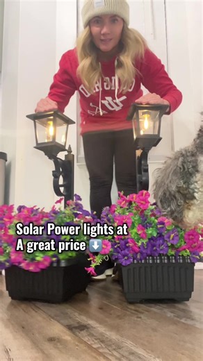 Enhance Your Curb Appeal with Solar Planters