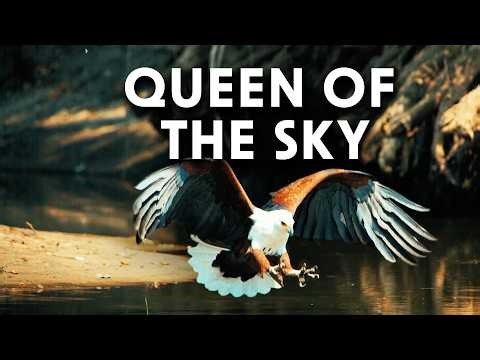 The Deadliest Eagle Hunters | Queen of the Sky | Documentary
