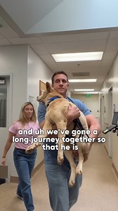 The reason no one is applying to adopt Pumpkin.. 🥺 | Rocky Kanaka
