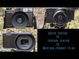Bayer sensor VS Foveon sensor VS Medium format film