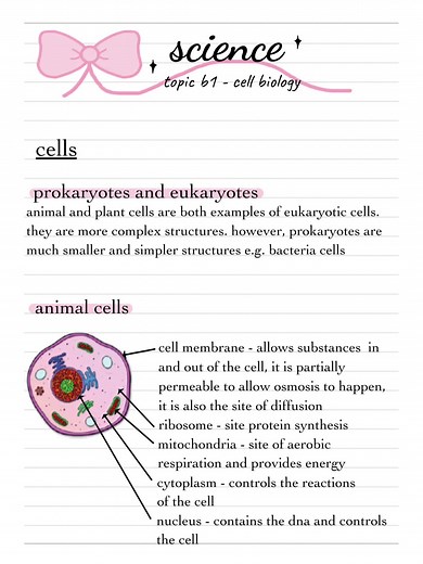GCSE Biology Revision Notes