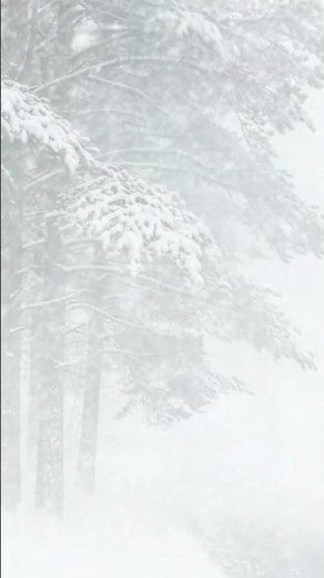 Heavy Winter Snowstorm White Noise for Long Deep Sleep #shorts #snow #relaxing