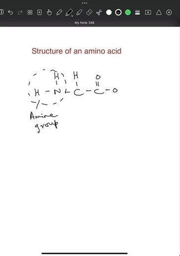 Amino acid structure- AS Level Biology