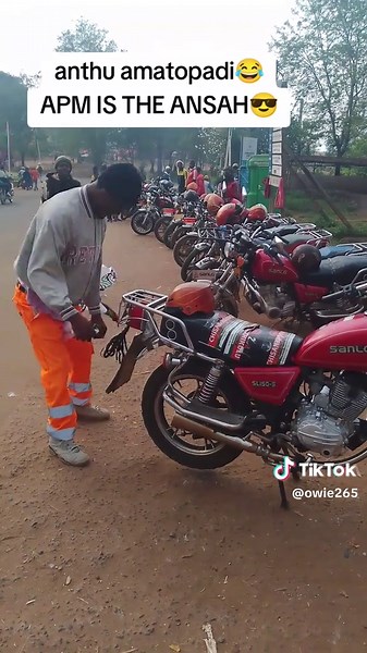 Understanding APM's Leadership Role