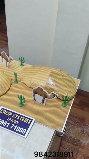 Desert model | DIY |School Project | B.Ed Model | Science Project