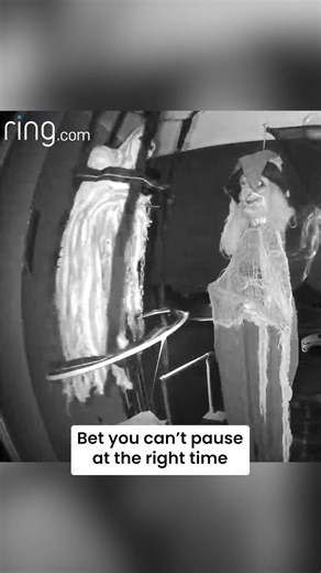 5 days until Halloween, but can you catch the witch TODAY? #Ring #Ad | Dadsnet